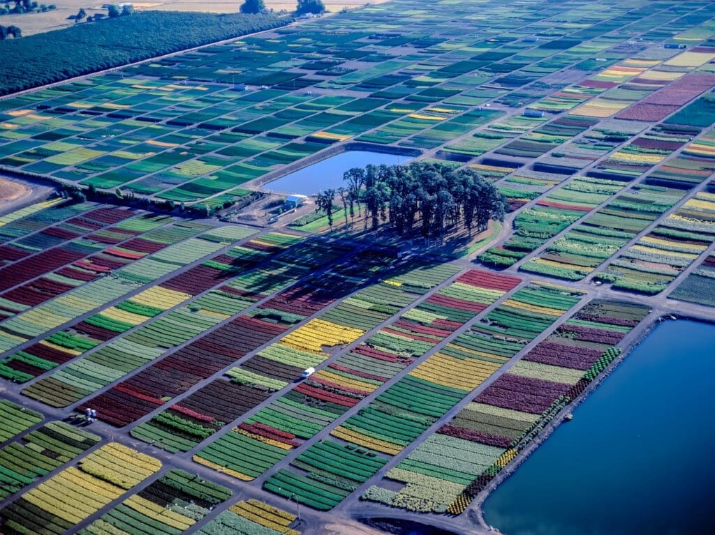 Amity Oregon