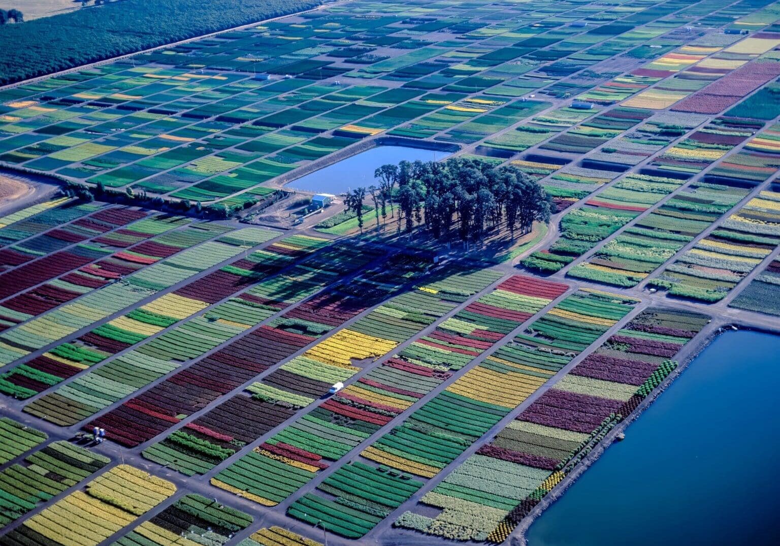 Amity Oregon